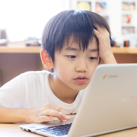 作品を発表・共有する